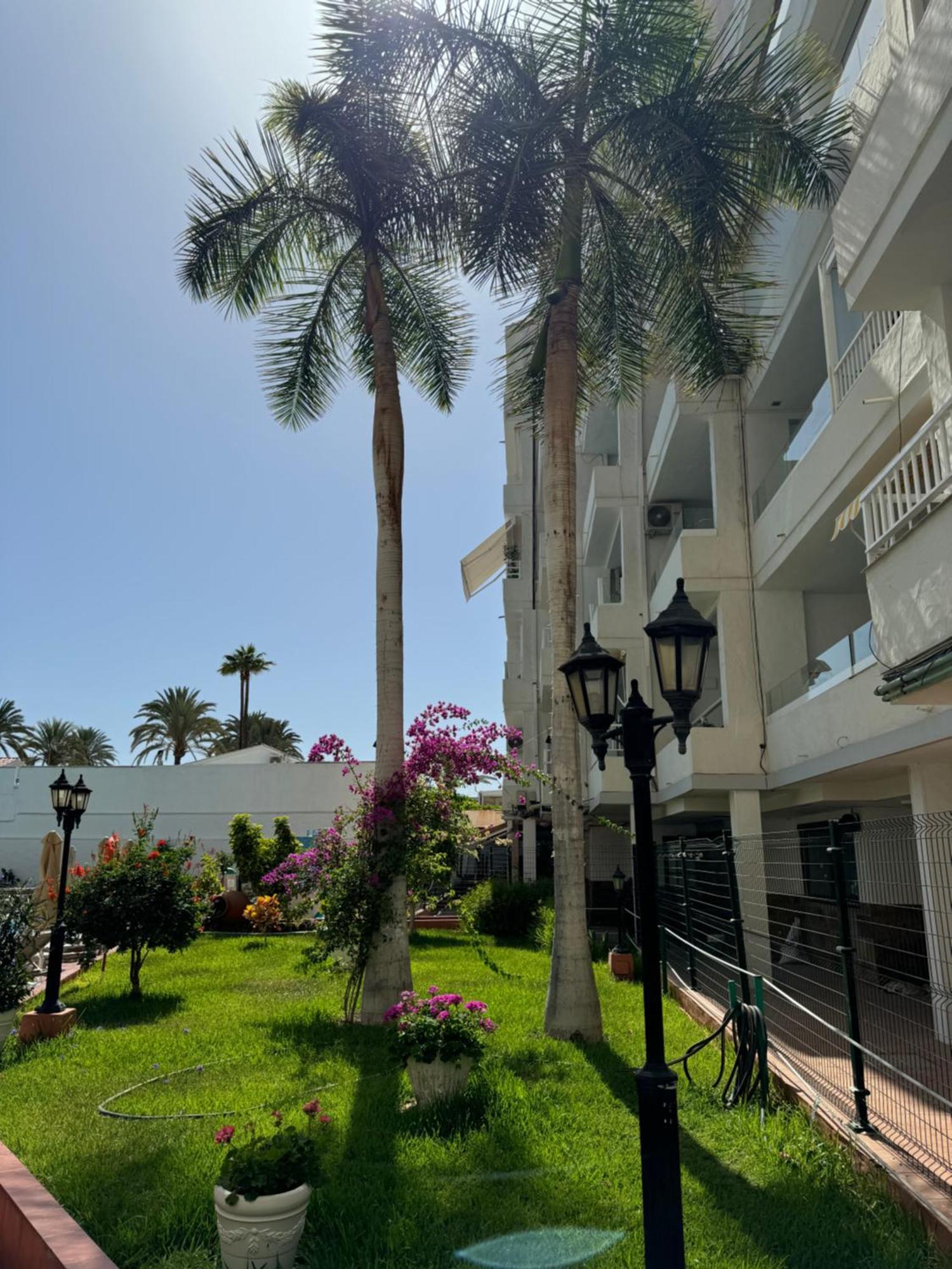 Apartamento Reformado En Apartamentos Tanife, Playa Del Ingles San Bartolomé Ngoại thất bức ảnh