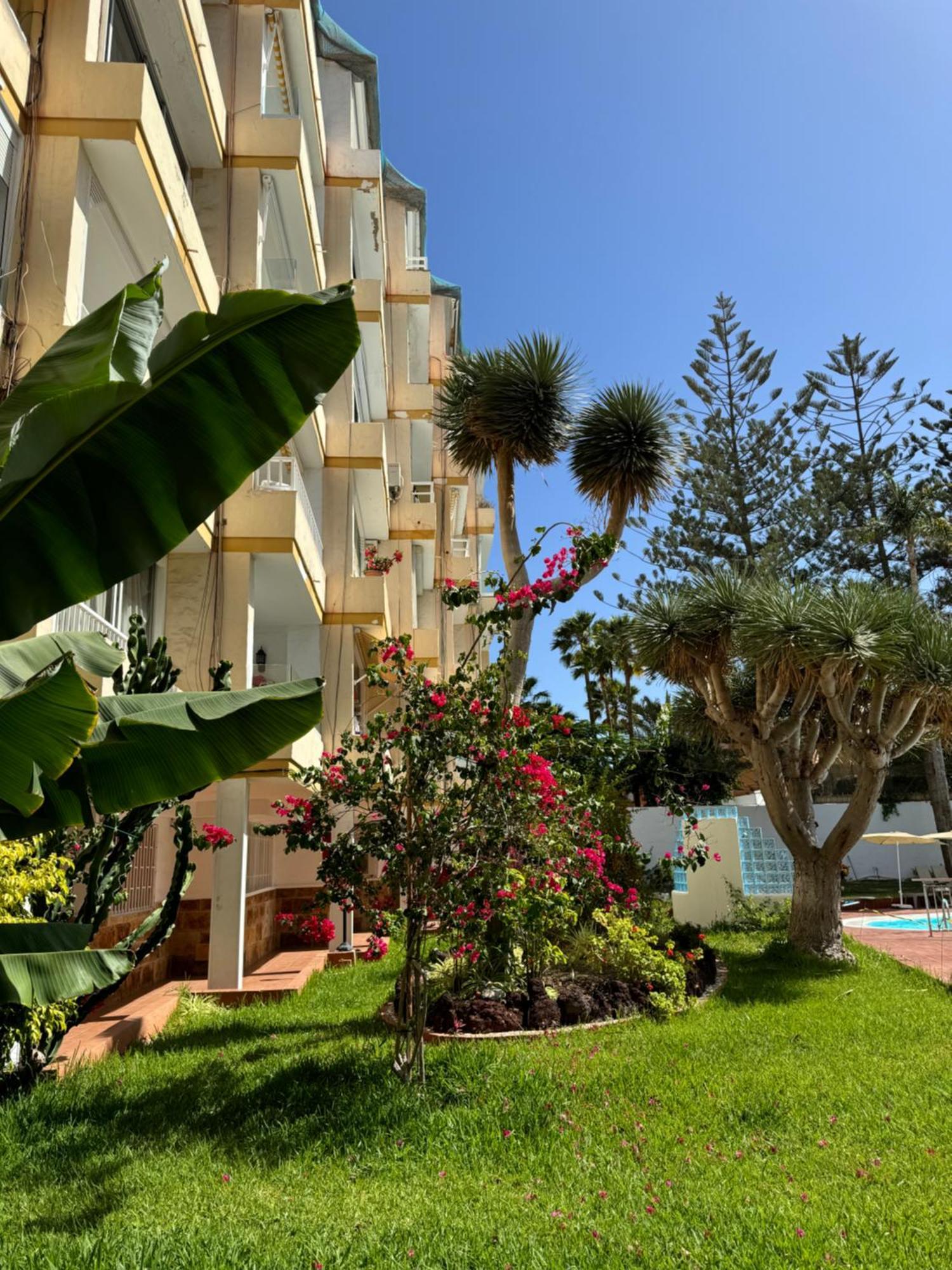 Apartamento Reformado En Apartamentos Tanife, Playa Del Ingles San Bartolomé Ngoại thất bức ảnh